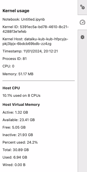 ../../_images/jupyter-resource-usage.png