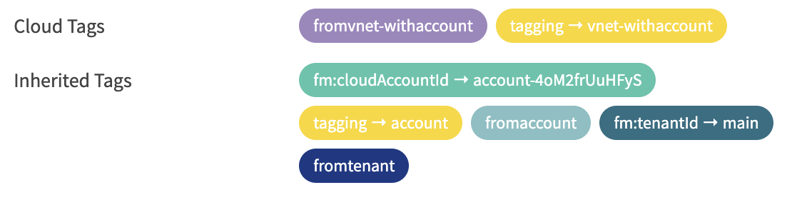 Display of the cloud tags and inherited tags on the dashboard of a Virtual Network attached to a Cloud Account.
